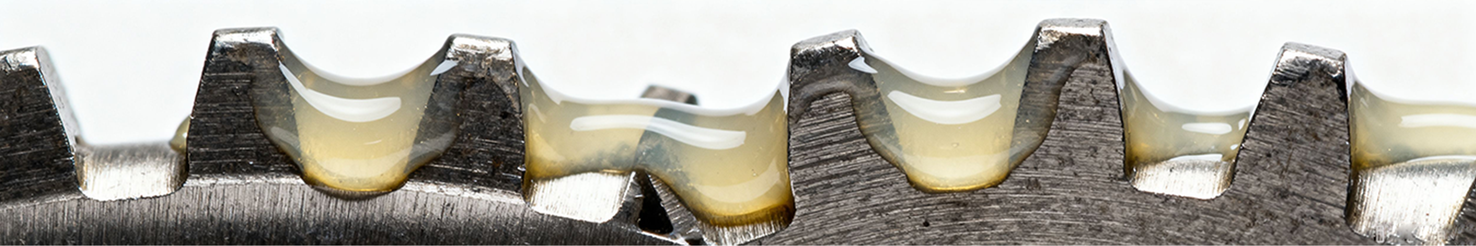 20220921165852d9ea1fcog