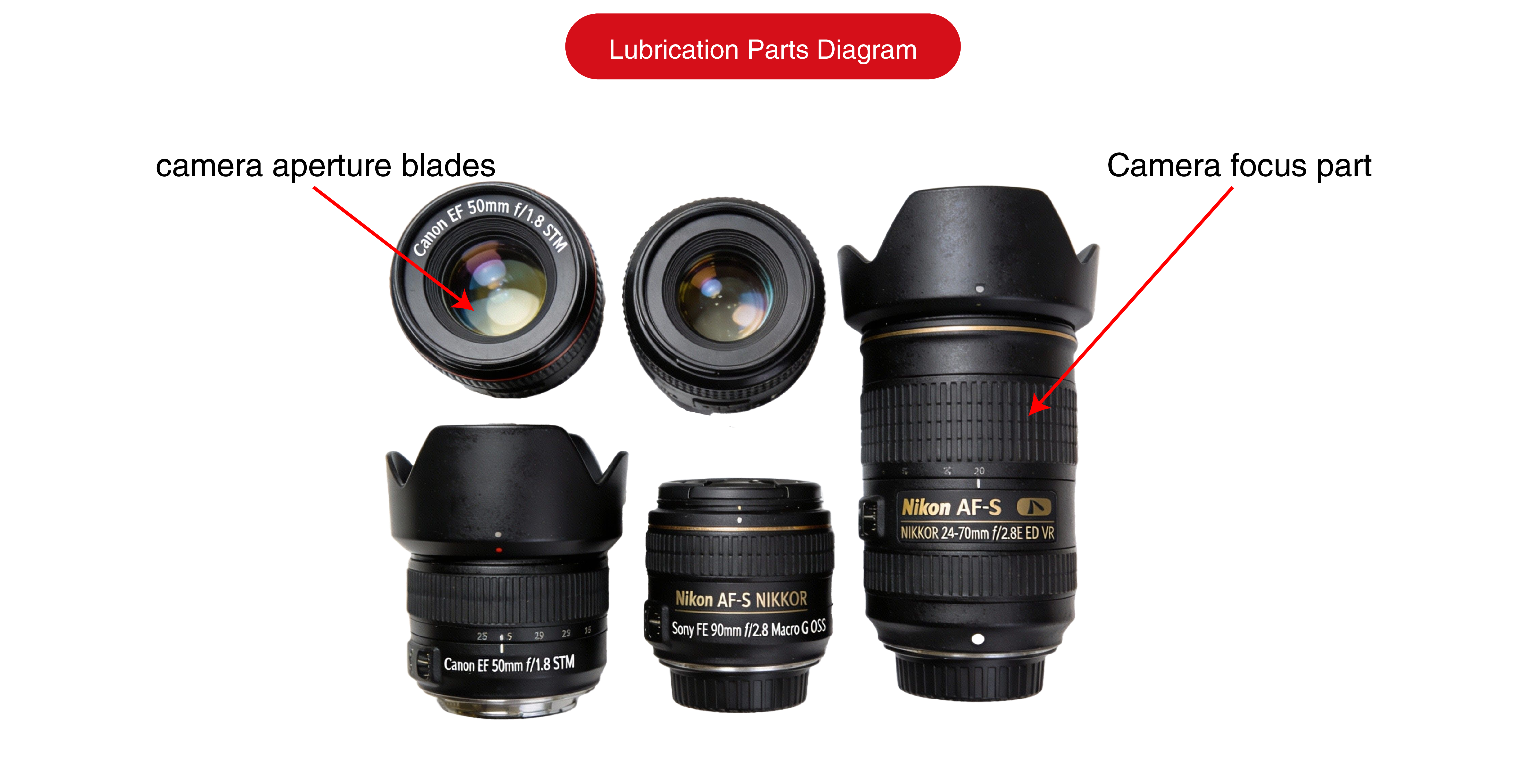 画板 1 副本 2.png